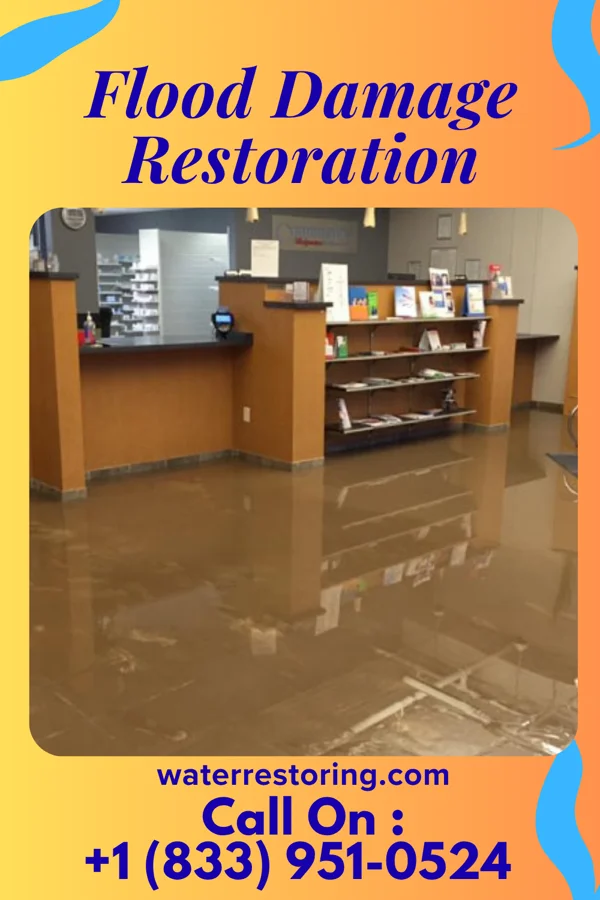 Flood Damage Restoration in Eureka Mill, SC