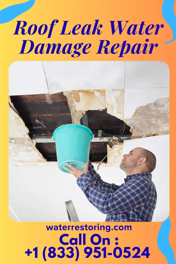 Roof Leak Water Damage Repair in Eureka Mill, SC