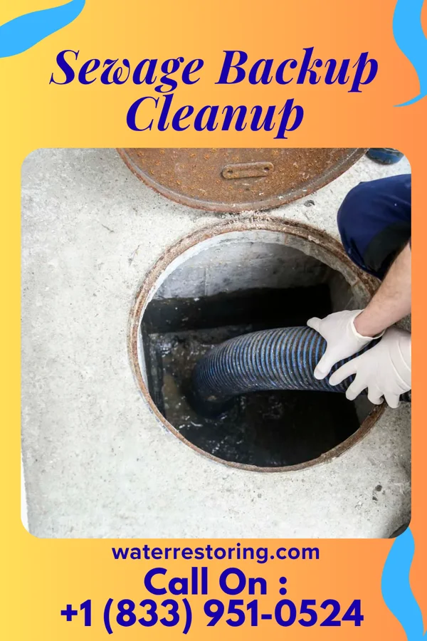 Sewage Backup Cleanup in Eureka Mill, SC